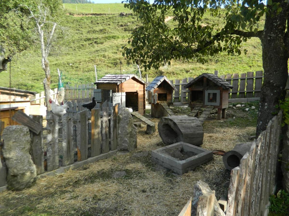 Reiters-Ferienhaus Russbach am Pass Gschütt Eksteriør bilde