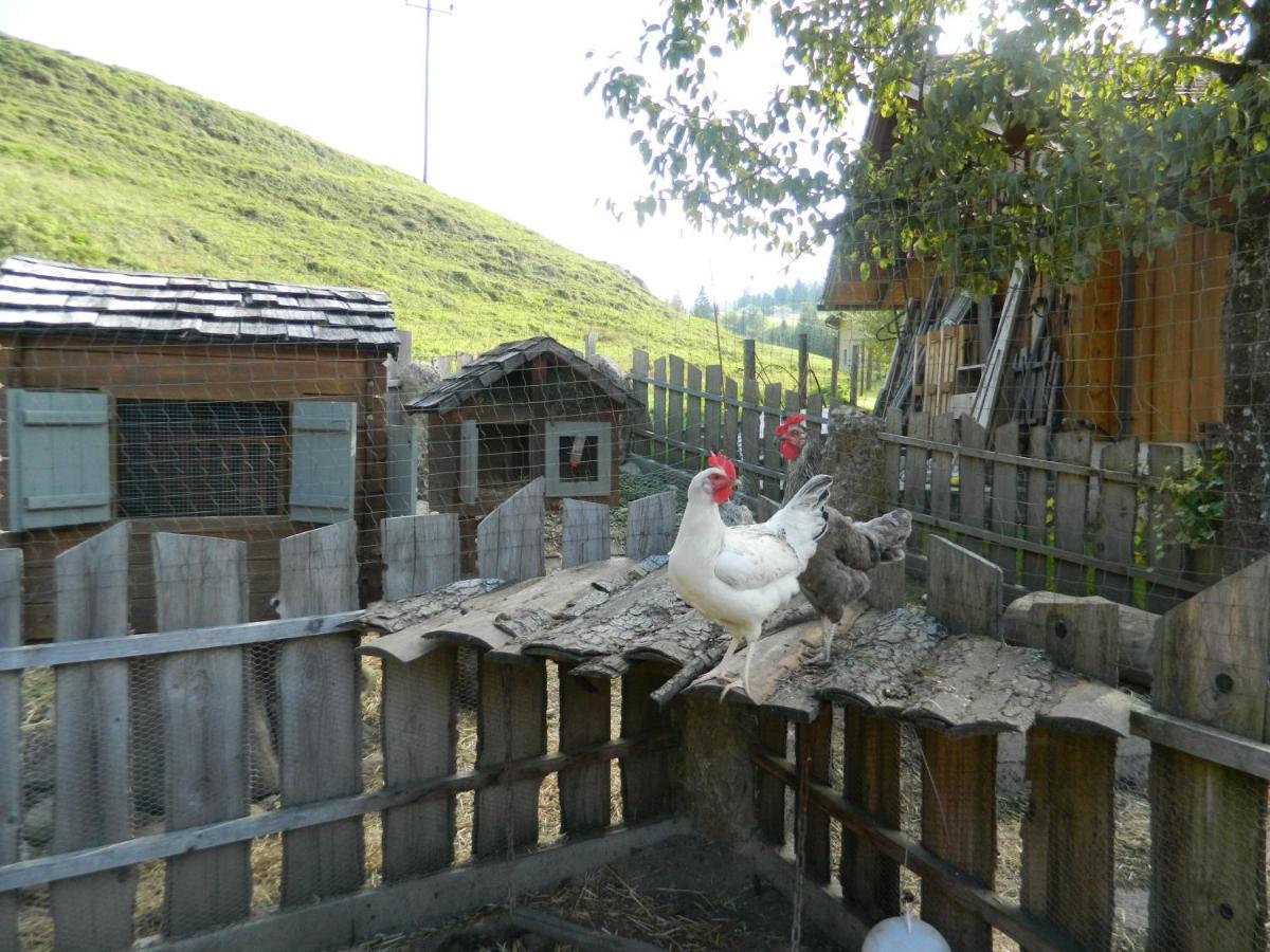 Reiters-Ferienhaus Russbach am Pass Gschütt Eksteriør bilde