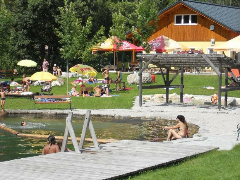 Reiters-Ferienhaus Russbach am Pass Gschütt Eksteriør bilde